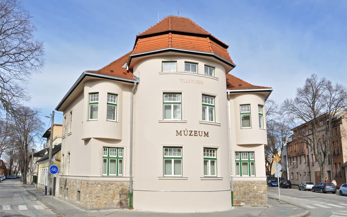 DREVIS – Vila Dr. Lisku