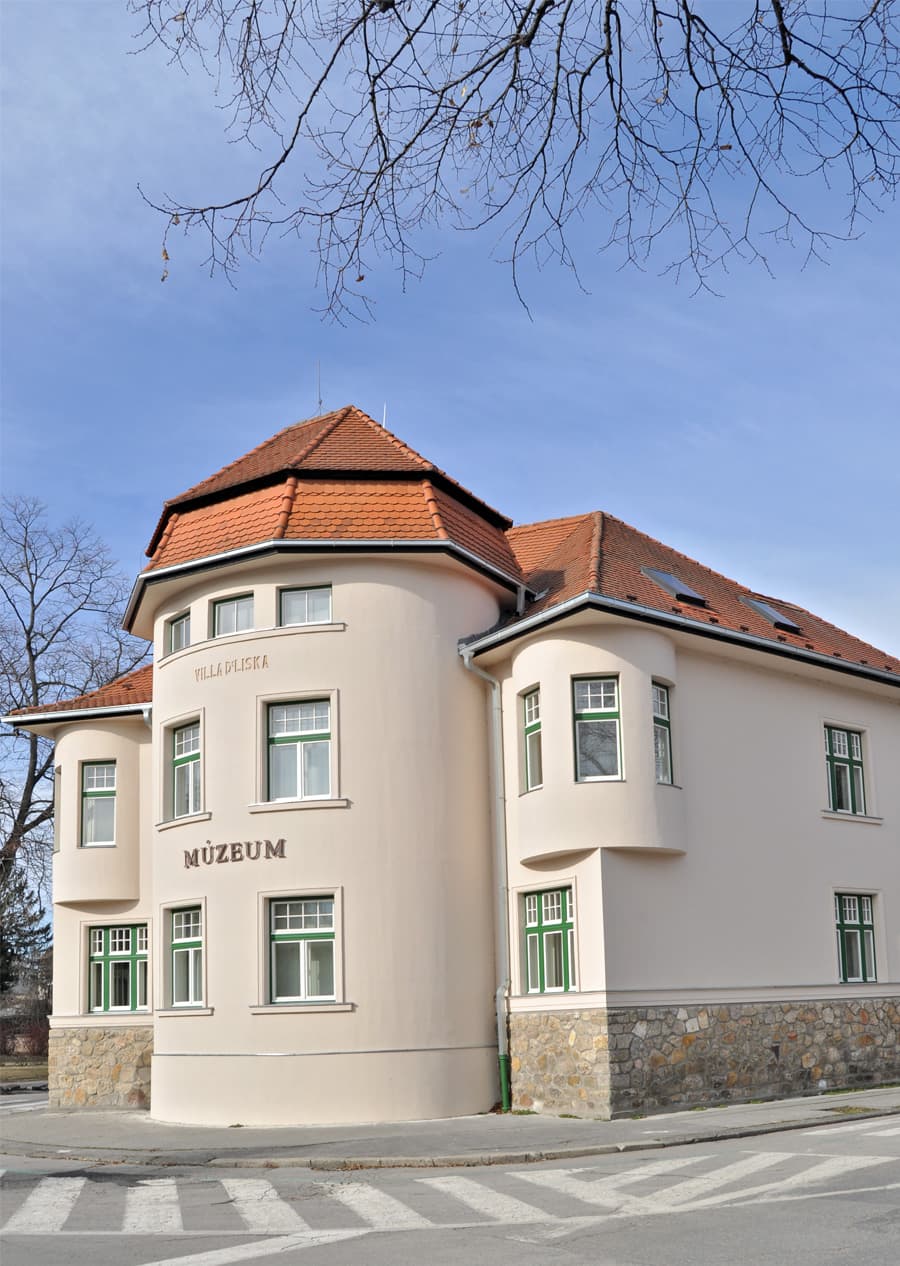 Vila Dr. Lisku 6